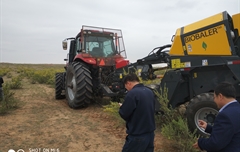 2019年，內(nèi)蒙奈吉牧草有限公司，采購(gòu)一臺(tái)Anderson檸條平茬機(jī)